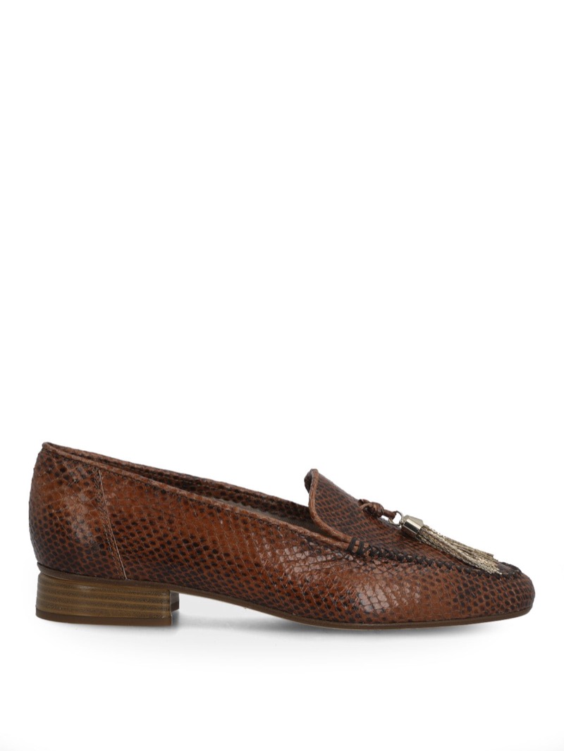 Zapato Trendy Mujer